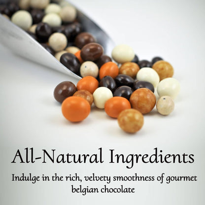 Chocolate Covered Espresso Beans ~ 1 lb. Gift Box of 5 Assorted Flavors ~ by Andy Anand