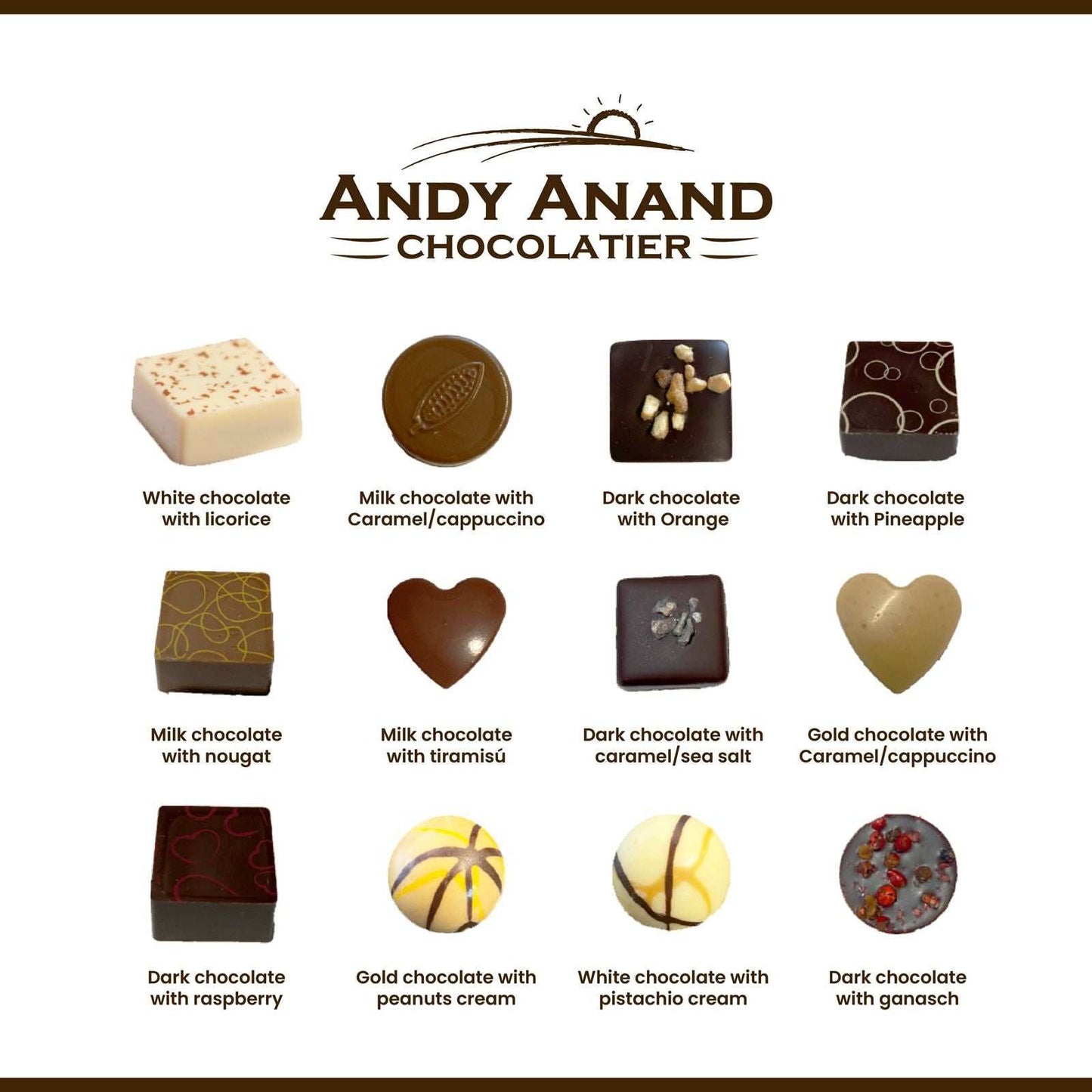 Gourmet Bonbon Assortment ~ 25 Pc. Chocolate Truffle Gift Box ~ by Andy Anand